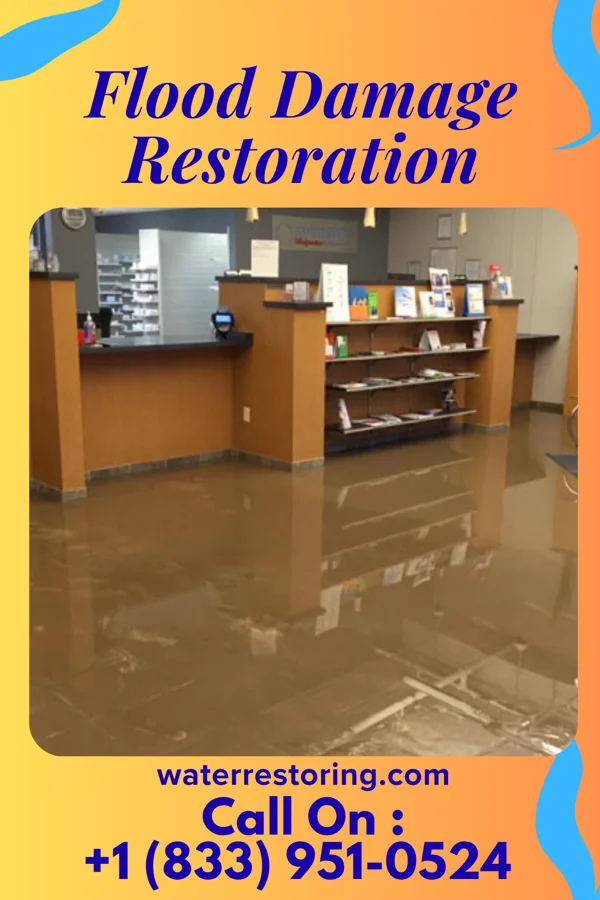 Flood Damage Restoration in Lowell, IN